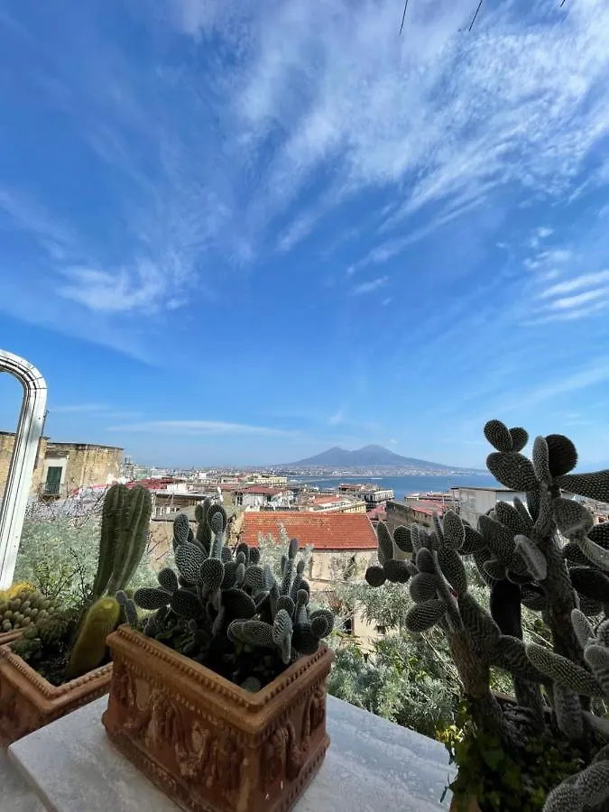 Alma De Templarsf - Stunning Design Home With Sea View And Terrace Naples Italy