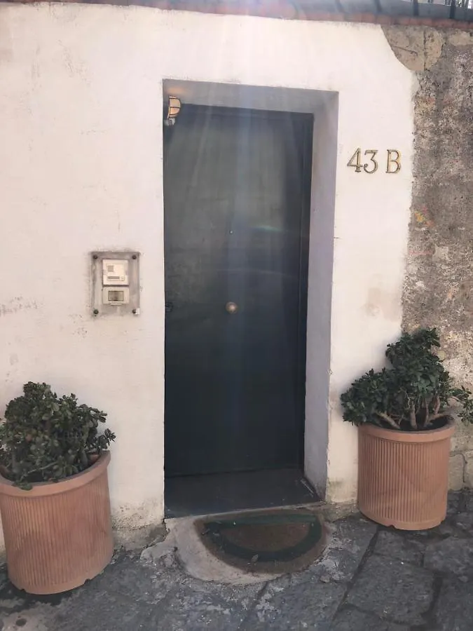 Apartment Alma De Templarsf - Stunning Design Home With Sea View And Terrace Naples